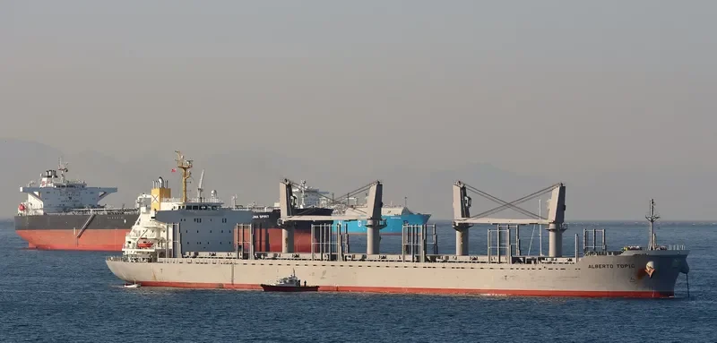 ALBERTO TOPIC Bulk Carrier IMO 9728473