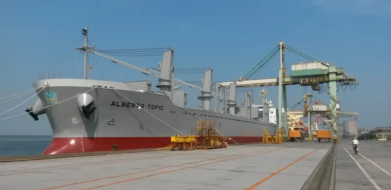ALBERTO TOPIC Bulk Carrier IMO 9728473 photo 2