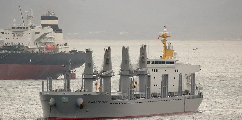 ALBERTO TOPIC Bulk Carrier IMO 9728473 photo 3