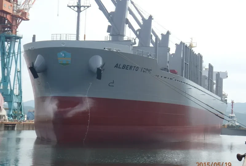 ALBERTO TOPIC Bulk Carrier IMO 9728473 photo 4