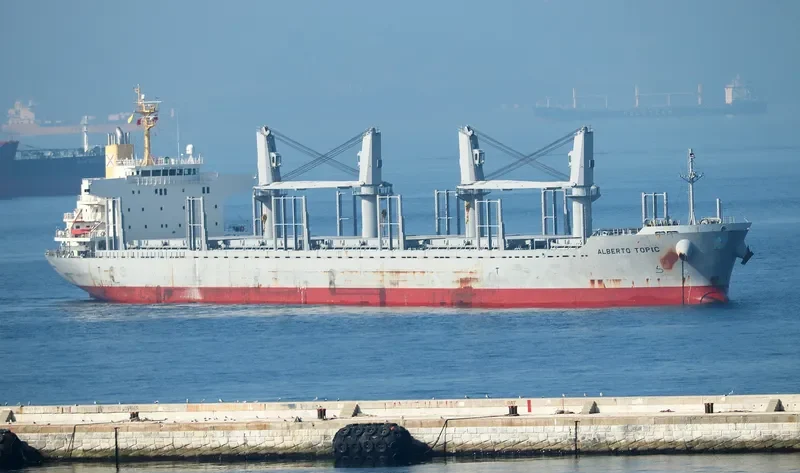 ALBERTO TOPIC Bulk Carrier IMO 9728473 photo 7