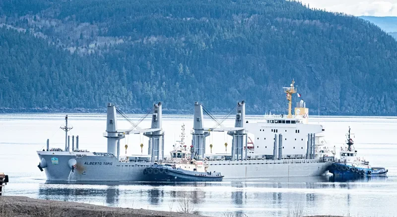 ALBERTO TOPIC Bulk Carrier IMO 9728473 photo 9