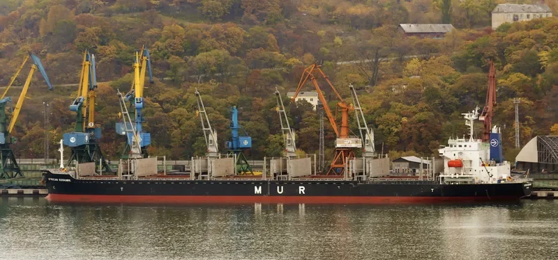 AFRICAN GOSHAWK Bulk Carrier IMO 9728485