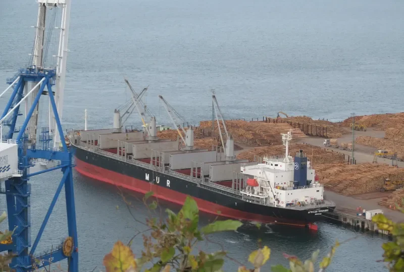 AFRICAN GOSHAWK Bulk Carrier IMO 9728485 photo 4