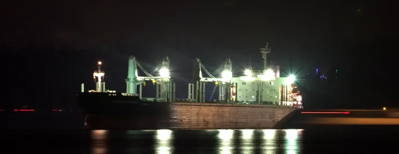 AFRICAN GOSHAWK Bulk Carrier IMO 9728485 photo 6