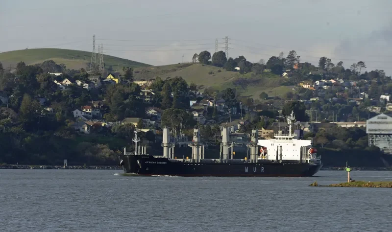 AFRICAN GOSHAWK Bulk Carrier IMO 9728485 photo 8