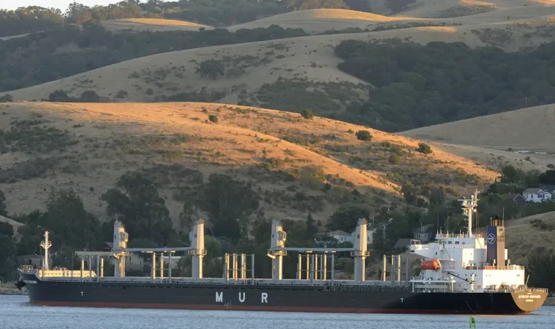 AFRICAN GOSHAWK Bulk Carrier IMO 9728485 photo 9