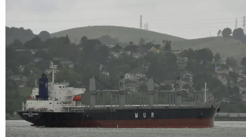 AFRICAN GOSHAWK Bulk Carrier IMO 9728485 photo 10