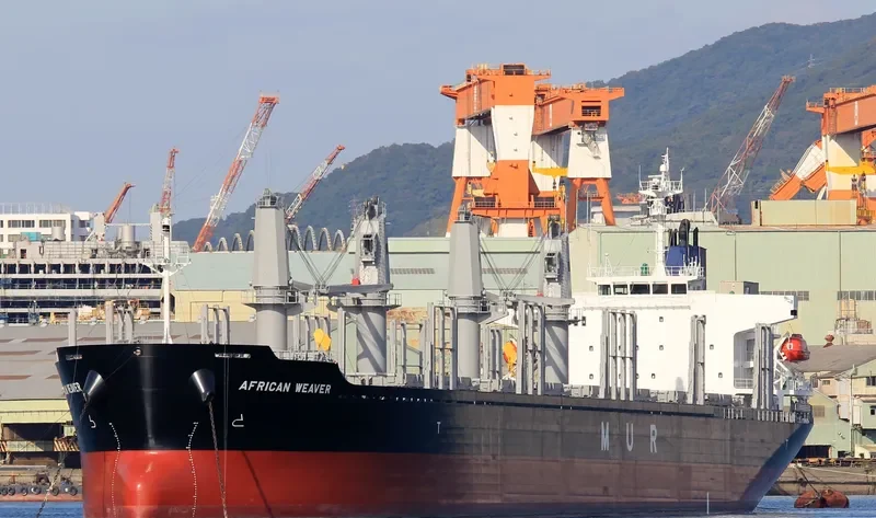 AFRICAN WEAVER Bulk Carrier IMO 9728497 photo 3
