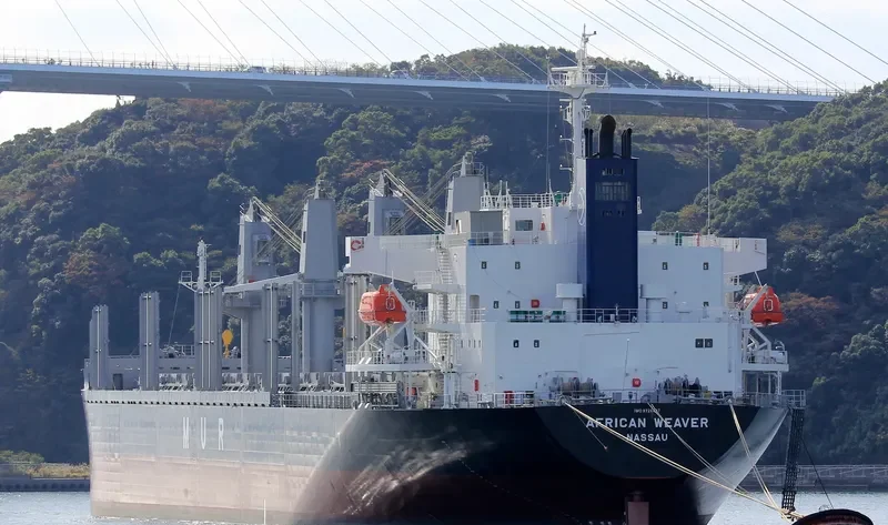 AFRICAN WEAVER Bulk Carrier IMO 9728497 photo 4