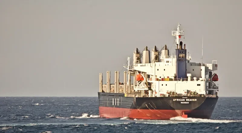 AFRICAN WEAVER Bulk Carrier IMO 9728497 photo 5