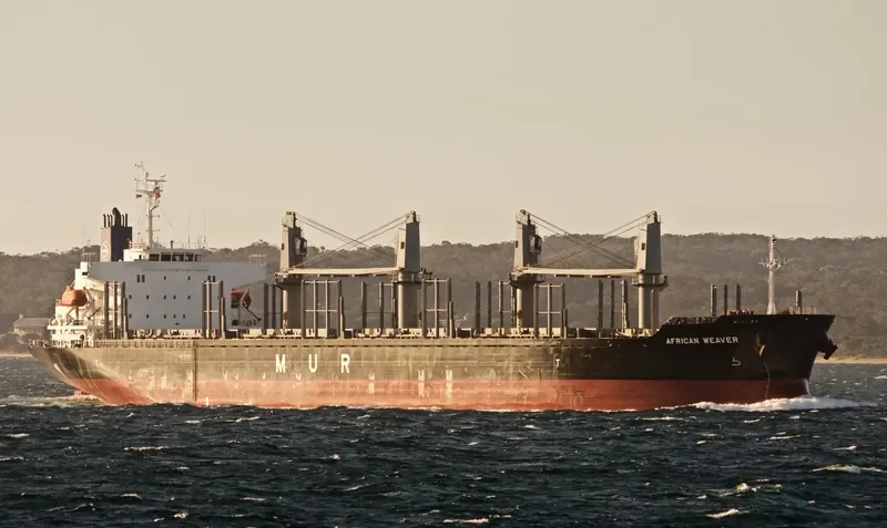 AFRICAN WEAVER Bulk Carrier IMO 9728497 photo 7