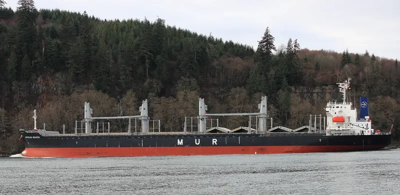 AFRICAN WEAVER Bulk Carrier IMO 9728497 photo 9