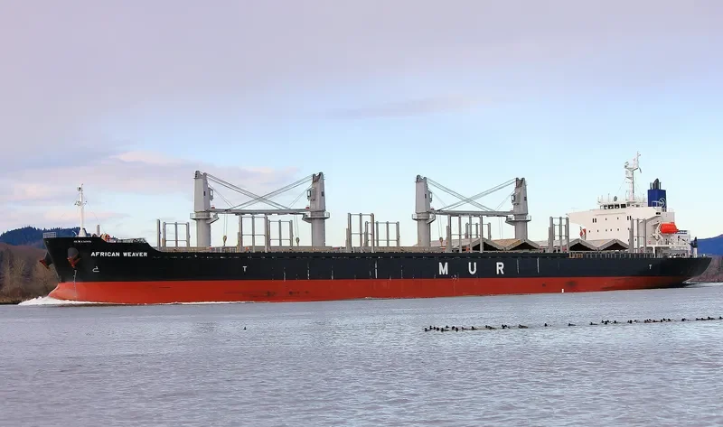 AFRICAN WEAVER Bulk Carrier IMO 9728497 photo 10
