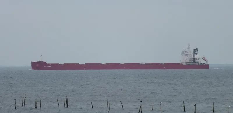 NORD STELLAR Bulk Carrier IMO 9728629 photo 7