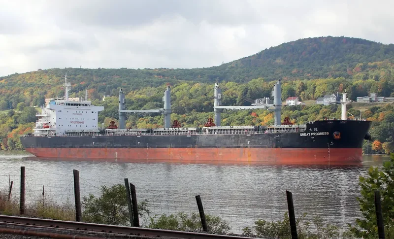 GREAT PROGRESS Bulk Carrier IMO 9728655 photo 2