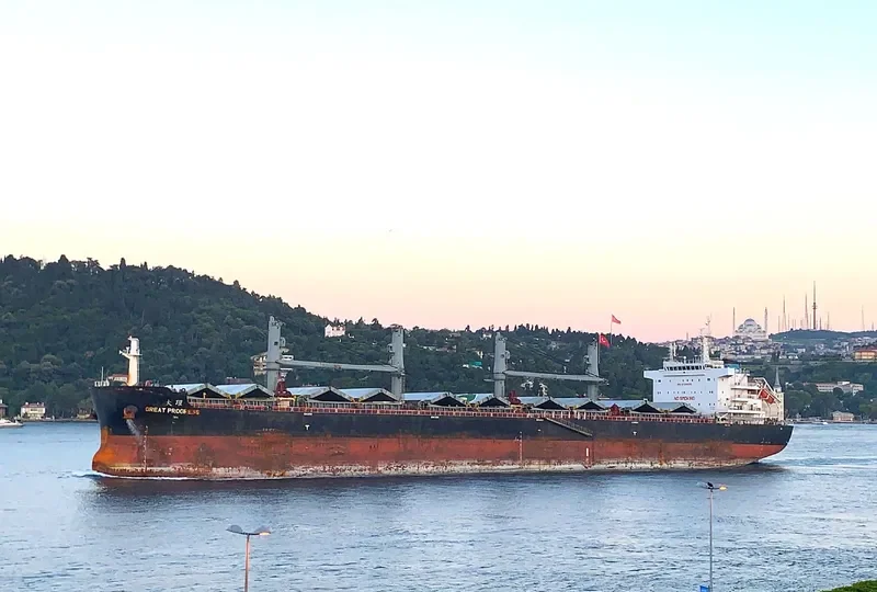 GREAT PROGRESS Bulk Carrier IMO 9728655 photo 5