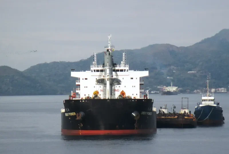 GREAT PIONEER Bulk Carrier IMO 9728667