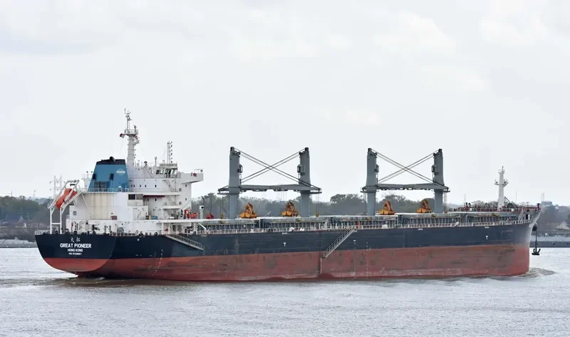 GREAT PIONEER Bulk Carrier IMO 9728667 photo 2