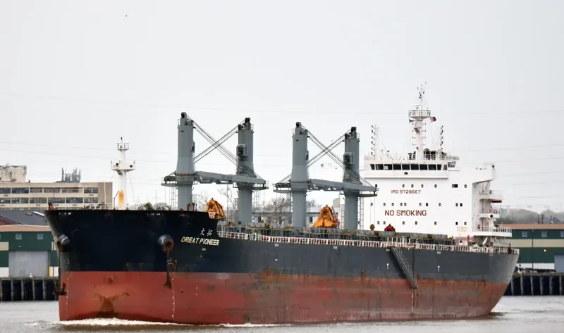 GREAT PIONEER Bulk Carrier IMO 9728667 photo 4
