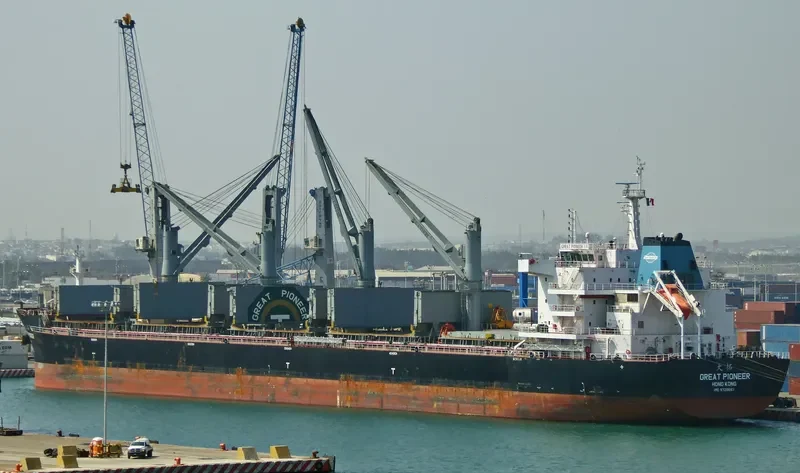 GREAT PIONEER Bulk Carrier IMO 9728667 photo 5