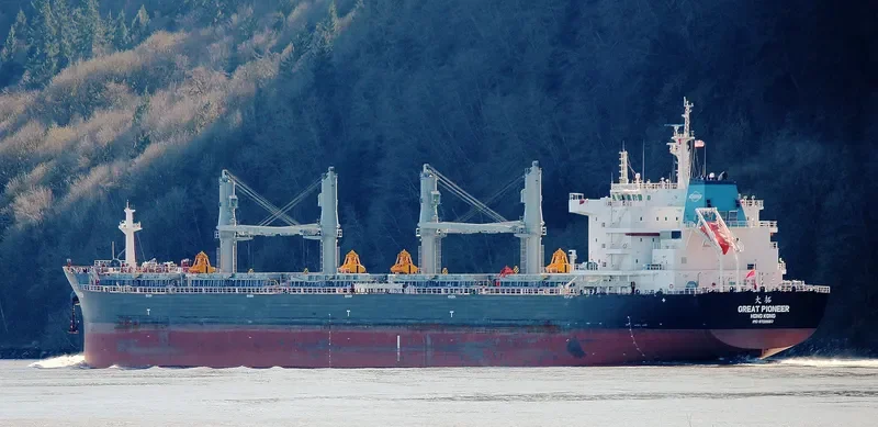 GREAT PIONEER Bulk Carrier IMO 9728667 photo 6