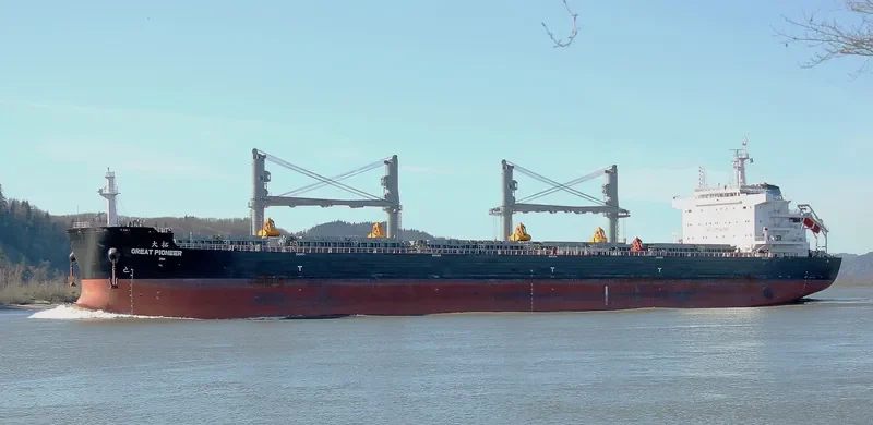GREAT PIONEER Bulk Carrier IMO 9728667 photo 8