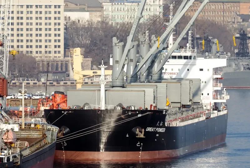 GREAT PIONEER Bulk Carrier IMO 9728667 photo 10