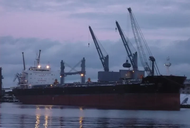 GREAT FLUENCY Bulk Carrier IMO 9728679 photo 2