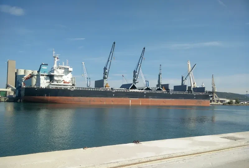 GREAT FLUENCY Bulk Carrier IMO 9728679 photo 3
