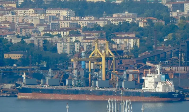 GREAT FLUENCY Bulk Carrier IMO 9728679 photo 4