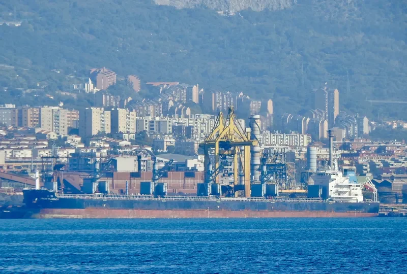 GREAT FLUENCY Bulk Carrier IMO 9728679 photo 5