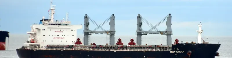 GREAT FLUENCY Bulk Carrier IMO 9728679 photo 6