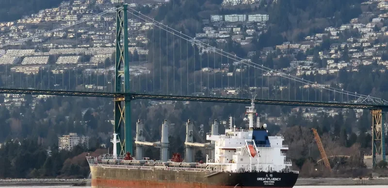GREAT FLUENCY Bulk Carrier IMO 9728679 photo 7