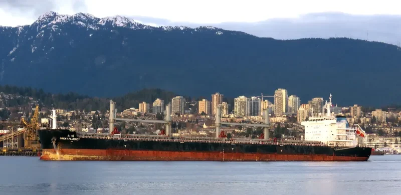 GREAT FLUENCY Bulk Carrier IMO 9728679 photo 8