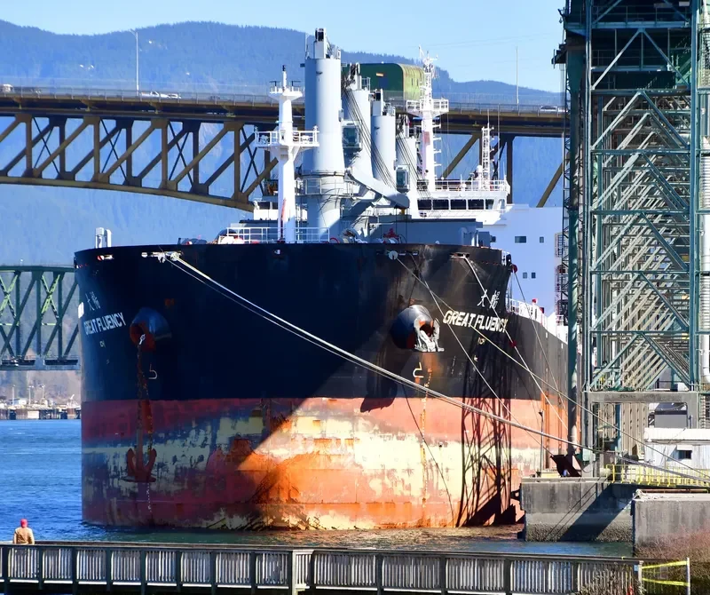 GREAT FLUENCY Bulk Carrier IMO 9728679 photo 9
