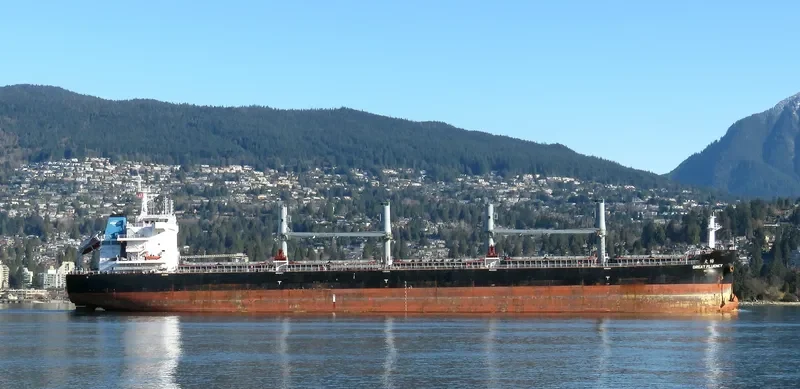 GREAT FLUENCY Bulk Carrier IMO 9728679 photo 10