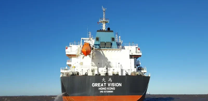 GREAT VISION Bulk Carrier IMO 9728681 photo 2