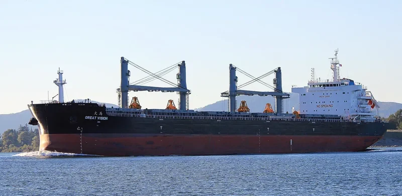GREAT VISION Bulk Carrier IMO 9728681 photo 7