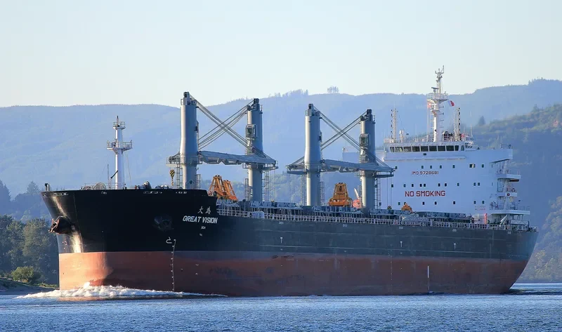 GREAT VISION Bulk Carrier IMO 9728681 photo 8
