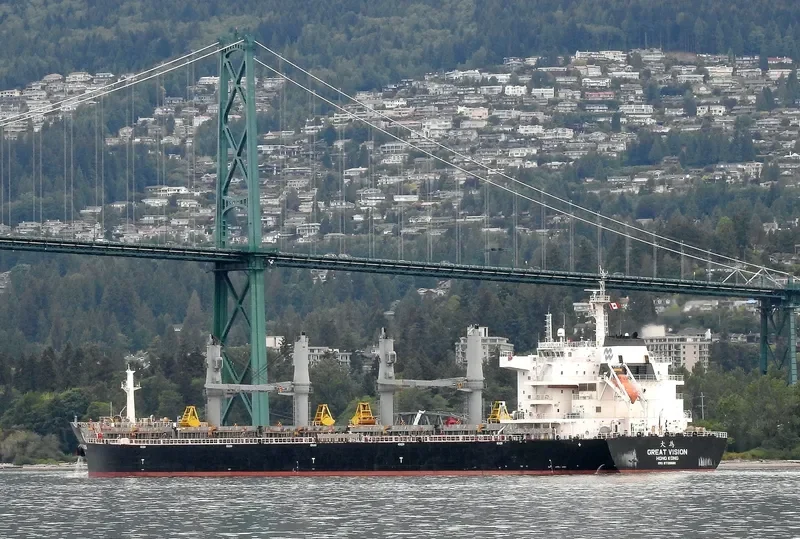 GREAT VISION Bulk Carrier IMO 9728681 photo 9