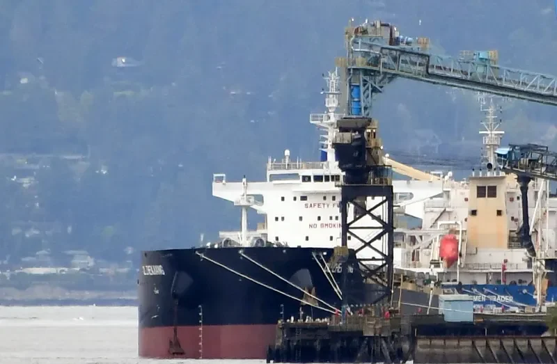 CL ZHENJIANG Bulk Carrier IMO 9728801 photo 4