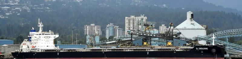CL ZHENJIANG Bulk Carrier IMO 9728801 photo 5