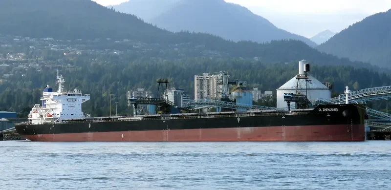 CL ZHENJIANG Bulk Carrier IMO 9728801 photo 6
