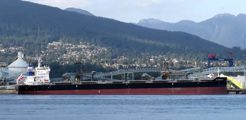 CL ZHENJIANG Bulk Carrier IMO 9728801 photo 7