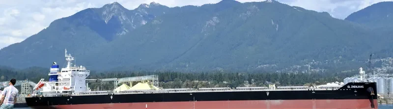 CL ZHENJIANG Bulk Carrier IMO 9728801 photo 9