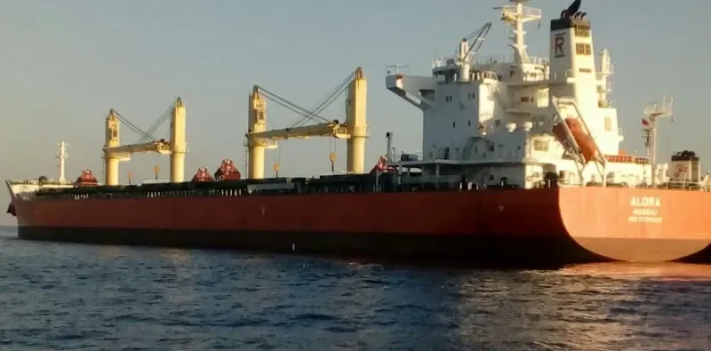 ALORA Bulk Carrier IMO 9729025