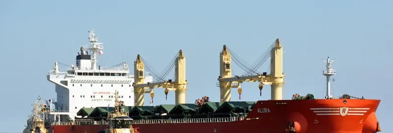 ALORA Bulk Carrier IMO 9729025 photo 4