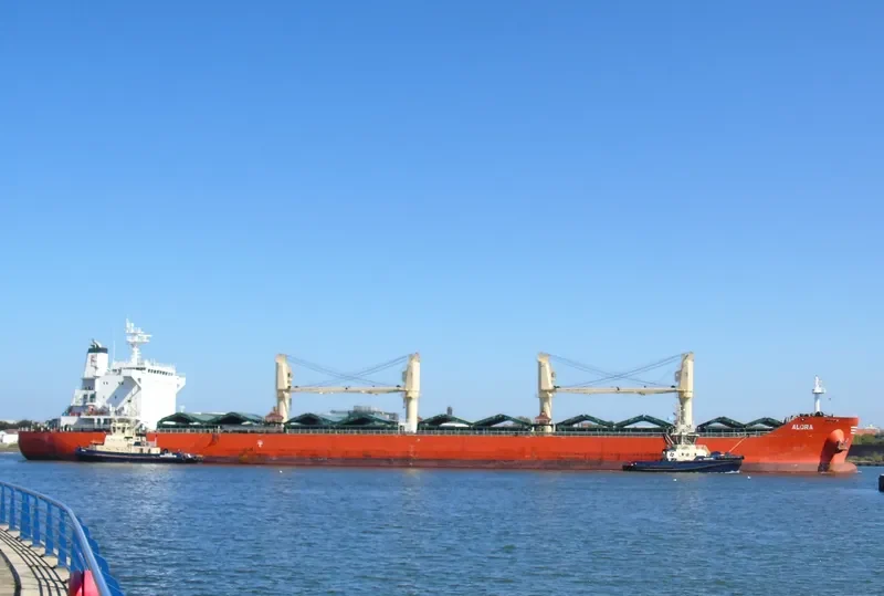 ALORA Bulk Carrier IMO 9729025 photo 5