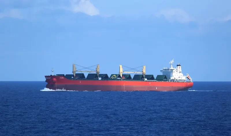 ALORA Bulk Carrier IMO 9729025 photo 8